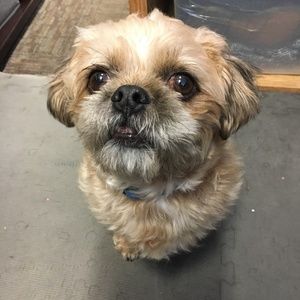 Meet your Posher, Gabriel